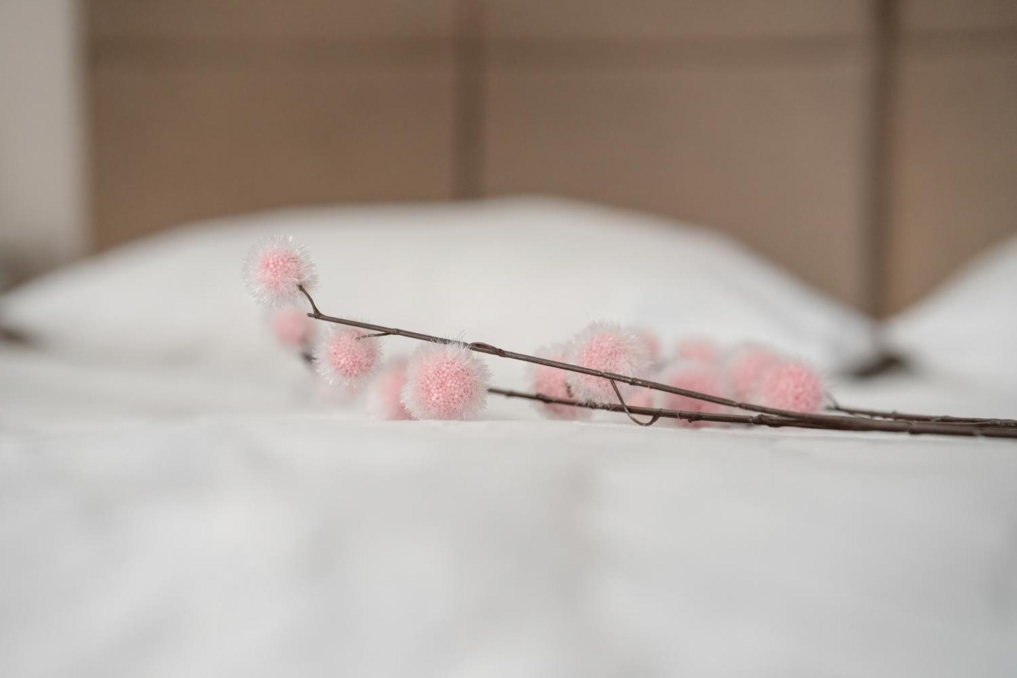 Stylowe I Eleganckie Studia Very Berry W Poznaniu By Noclegi Renters Esterno foto